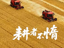 2025年全国食品安全宣传周宣传片上线！