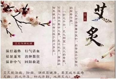 20191206155008_32980.jpg 20191206155008_32980.jpg