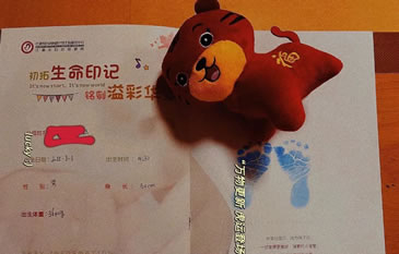 春节期间，他们放弃小家团圆，换来33个“虎宝宝”平安降生