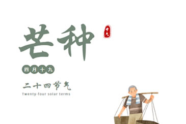 【中医养生】二十四节气之芒种