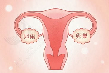 它是女性衰老的开关，却被你每天反复“虐待”